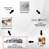 Conteneur alimentaire jetable, boîte à lunch à emporter, entièrement automatique, haute productivité, respectueux de l'environnement, multi-matériaux PS/PET/PP/PVC