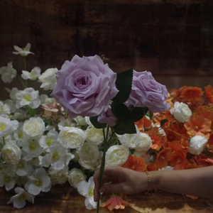 中国供应商鲜花3玫瑰家居装饰中心玫瑰春节和返校墙用途 - Product Image 5