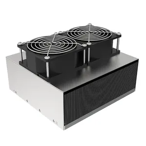 Twee Luchtuitgangen Luchtkoeler Onderdelen 12vdc Thermo-Elektrische Peltier Aluminium Fun Onderdelen Dwingen Luchtkoeling Medische Koelmachine