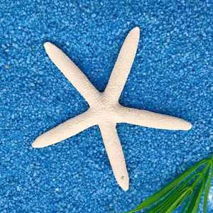 Decoraciones de resina con forma de estrella de mar para acuario, juego de adornos de estilo mediterráneo para decoración de tanques de mascotas - Product Image 4
