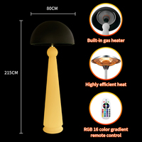 Lampe d'inondation de chauffage de jardin IP65 étanche électrique chauffante de terrasse extérieure LED lumière de changement de couleur