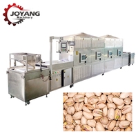 Séchoir industriel à micro-ondes pour noix de cajou Stérilisateur d'amandes et de noix Machine de stérilisation des noix de pin à la pistache