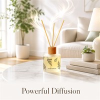 Lot de diffuseurs à bâtonnets en gros avec huiles essentielles, marque privée, logo personnalisé, fournisseur de parfums d'intérieur, aromathérapie