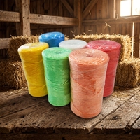 Cordel de Polipropileno para Empacadora, Longitud y Color Personalizables, Disponible en Rollos de 1kg~5kg, Cuerda Resistente para Empacar Heno y Paja