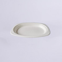 Nouveauté Assiettes jetables en papier de canne à sucre et plateaux en pulpe de bagasse de canne à sucre Assiettes en papier alimentaire Plateau pour fête 100000 CN;SHG