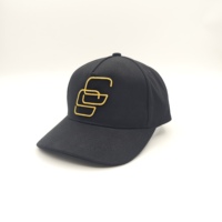 Logotipo bordado a mano personalizado, con estampado de leopardo, de tela de rizo, popelín, oxford deportivo común, dobby, argyle, para moda, deportes, unisex, ajustable