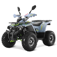 Tao Motor 2025 nouvelle chaîne d'entraînement de jante en alliage automatique 1 + 1 125cc ATV chinois pas cher ferme ATV 125