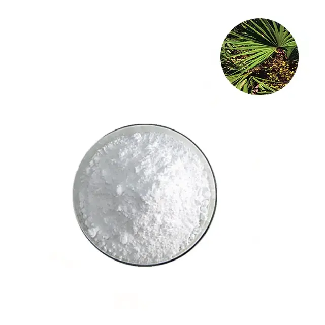 Chinese manufacture supply fatty acids saw palmetto extract powder
