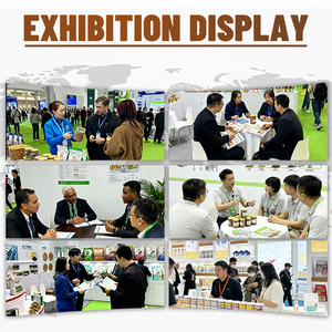 อาหารแมวแห้งขายส่ง โปรตีนสูง อาหารเม็ดธรรมชาติ สูตรเนื้อแท้ รับผลิตแบบ OEM จำนวนมาก รับทำโลโ<span class=keywords><strong>ก</strong></span>้ตามสั่ง - Product Image 4