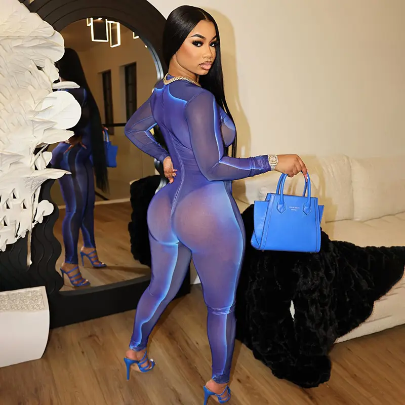 2024 Shiny Silk Mesh Jumpsuits Women Solid See Through Sexy Hot Full Sleeve Back Zip-up O-neck Overalls Lady Midnight Clubwear