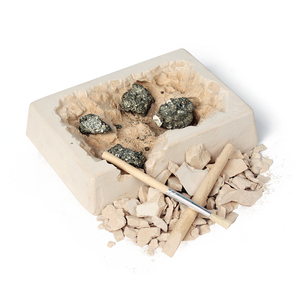2021 Jouets éducatifs TIGE Science BRICOLAGE Archéologie <span class=keywords><strong>Kit</strong></span> Sortez Vos Coquillages Fossiles Bracelet L'assemblée <span class=keywords><strong>Kit</strong></span> D'excavation Pour Les Enfants - Product Image 3