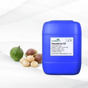 Factory wholesale macadamia oil bulk private label free sample 100% pure natural organic macadamia oil for hair growth
