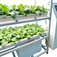 Système aquaponique hydroponique intelligent d'intérieur, lampes de culture LED, pompe, couvercle ABS, réservoir d'eau, garantie de 3 ans pour les légumes, les fruits et les fleurs