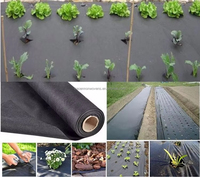 Tissu non tissé PP Spunbond Feuille de contrôle des mauvaises herbes noire Weedmat Rouleaux non tissés filés