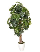 Offre Spéciale arbre d'argent de haute qualité, fausse plante artificielle, arbre riche en plastique, Simulation artificielle, décoration rouge, arbustes