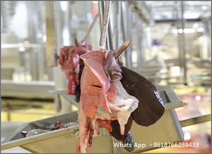 Sistema di Ispezione per la Macellazione del Bestiame per la Pulizia di Prodotti di Macelleria Rossi e Bianchi con Macchina Lavatrice per Trippa - Product Image 6