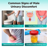 Chinaherbs Vente en gros Marque privée 56g/sachets Thé pour les voies urinaires Aide à l'équilibre urinaire sain Thé pour la prostate Thé pour les reins pour homme