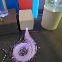 Source de lumière à fibre optique Articles sensoriels de lumière à fibre optique fixés au mur avec application téléphonique et télécommande RF