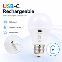 Ampoule LED RGB rechargeable USB-C E27, lampe d'urgence portable suspendue pour le camping, la maison, l'extérieur et le marché