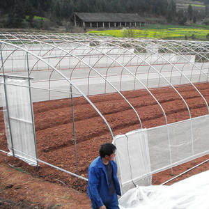 <span class=keywords><strong>6M</strong></span> <span class=keywords><strong>x</strong></span> 10m En Plastique D'intérieur de Couverture Mini <span class=keywords><strong>Serre</strong></span> - Product Image 4