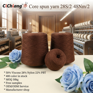 Fil fantaisie mélangé à haute élasticité et haute ténacité, à âme colorée, 50% Viscose, 28% Nylon, Cachemire, 22% Filament PBT, pour broderie - Product Image 1