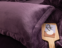 Couette d'hiver douce en velours 100% polyester, ensemble de literie 4 pièces pour lit double, taille king