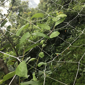 Rollo a granel Red de enrejado de malla suave de 5 pies x 350 pies con cuadrados de 6 pulgadas Servicios de corte personalizados de plástico/Nailon/poliéster - Product Image 4