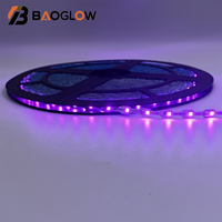 Increíbles efectos de iluminación Led Pixel Point Lighting DC 12V Impermeable Smart Rgb Led Strip Lights para dormitorio Bar TV Sala de juegos