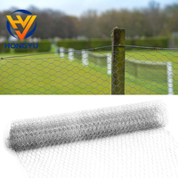 Alambre de púas hexagonal galvanizado para alimentar pollos y otros animales, malla de alambre galvanizado para pollos