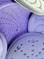 Disque abrasif en céramique violette, grain 800, dureté moyenne, OEM, disque de ponçage rond pour ponçage automobile, bois, métal