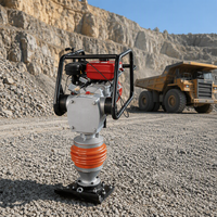 Compacteur vibrant industriel à haute fréquence pour tranchées, type « Jumping Jack »