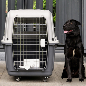 Più dimensioni disponibili porta durevole PP materiale di grandi dimensioni cane da compagnia Air scatola da viaggio con ruote - Product Image 1