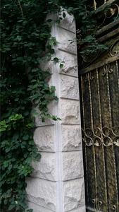 Aangepaste Project Natuurlijke Zout Wit Graniet G603 Exterieur Decoratieve Gevelbekleding Paddestoel Steen - Product Image 2