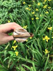 Auténticas pulseras de cuerno de búfalo, artesanía natural, joyería artesanal para mujer, diseño étnico atemporal y elegante para lucir. - Product Image 4