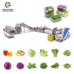 Solution de traitement des légumes fraîchement coupés pour usine alimentaire 1-3T – Machine personnalisée de tri, lavage, découpe, séchage et emballage des légumes - Product Image 1