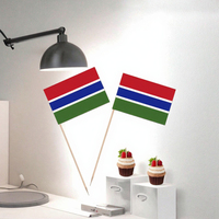 Banderas Pequeñas de Gambia Personalizadas al por Mayor, Mini Banderas Nacionales para Decoración de Eventos, Fiestas y Celebraciones, Bandera para Agitar con la Mano