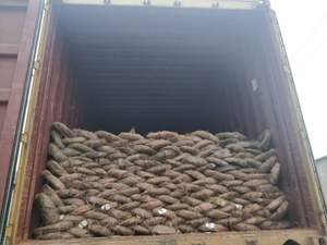 <span class=keywords><strong>Alambre</strong></span> de Hierro Recocido Negro <span class=keywords><strong>No</strong></span> <span class=keywords><strong>Galvanizado</strong></span> de Calibre 16 18 20 22 para Construcción, <span class=keywords><strong>Alambre</strong></span> de Amarre Q195 - Product Image 6