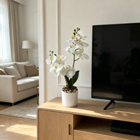 Hoogwaardige witte kunststof vlinderorchidee 17 inch gepotte bloem met stenen, milieuvriendelijke decoratie voor koffieshop, bruiloft en huis.