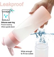 Botella promocional libre de BPA, doble pared de plástico, aerosol de agua con refrigeración térmica, rociador de plástico