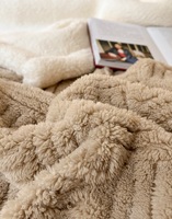 Manta de lana Sherpa de doble capa más Popular, logotipo personalizado, tejido para siesta, Color puro para invierno, cubierta cálida para aire acondicionado