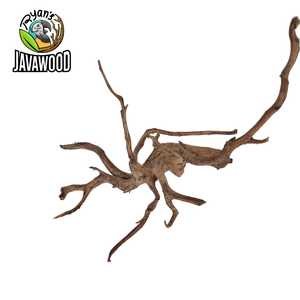 Madera natural decorativa en forma de araña, accesorios de decoración, paisaje acuático, altingia, excelsa, de Indonesia - Product Image 5