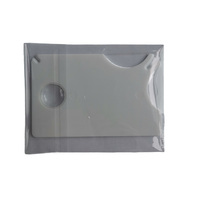 Extracteur de tiques simple en plastique écologique avec loupe pour animaux de compagnie, outil d'élimination des tiques pour chats et chiens