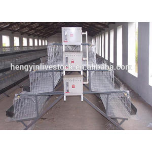 New Customized Hengyin A/H Type High Galvanized Steel Wire Mesh Chicken <b>Cage</b> Easy Clean Install Features for Farming - Product Image 3