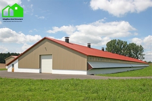 Thép tự động Gà nhà prefab trang trại xây dựng hệ thống thiết kế phong cách cho Gà Thịt và gà giống - Product Image 4