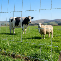 Clôture en fil tressé galvanisé à chaud pour bétail, clôture de champ agricole, clôture pour chevaux, moutons, bétail, enclos de ranch, rouleau de clôture