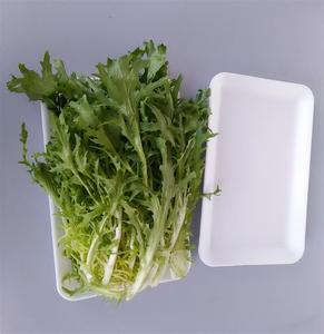 Dùng Một Lần <span class=keywords><strong>Polystyrene</strong></span> Thực Phẩm Bọt Khay Để Bán, 2016 Tùy Chỉnh Các Loại Khác Nhau Cấp Thực Phẩm Bao Bì - Product Image 4