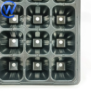 Plateaux de semis 70 cm x 48 cm - Product Image 2