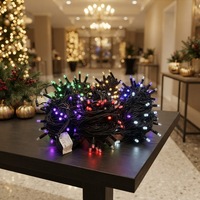 IP67 Wasserdichte Verbindbare LED-Lichterketten Schwarzes Gummikabel Mehrfarbige Außen-Garten-Weihnachts-Festliche Dekorative Beleuchtung
