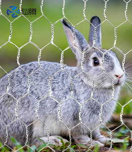 Competitive Price <strong>Hexagonal</strong> <strong>Chicken</strong> Coop Fencing Metal <strong>Wire</strong> <strong>Mesh</strong> Roll Cheap Poultry <strong>Chicken</strong> <strong>Wire</strong> <strong>Mesh</strong> Grid Welding Service - Product Image 4