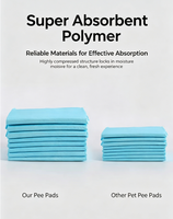 Tapis d'entraînement moderne et imperméable pour chiens et chats, fournisseur OEM, tapis de protection en silicone pour animaux, lavable, antidérapant, protection de sol, doux, pour le voyage
